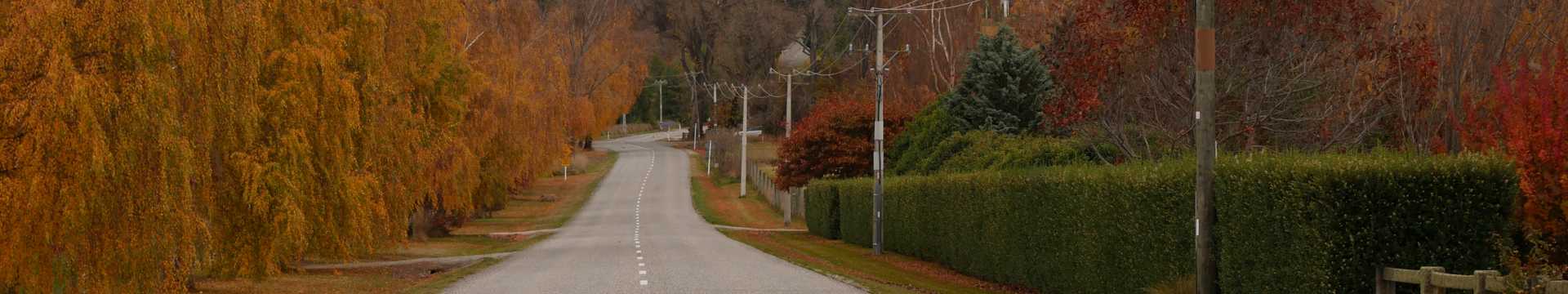 new zealand farmland with green grass and trees