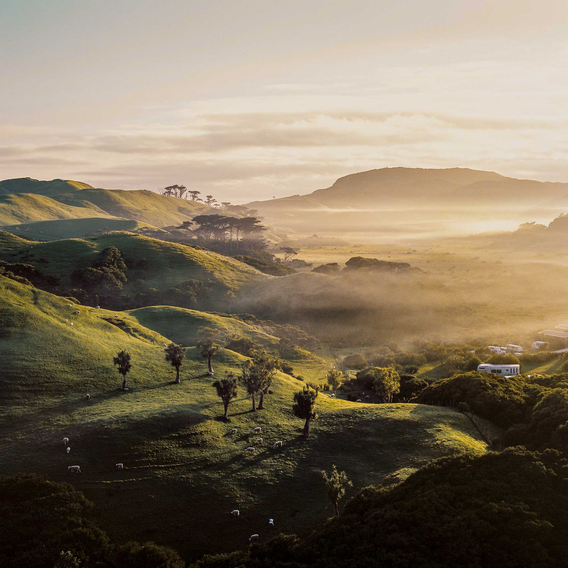 new zealand misty farm land