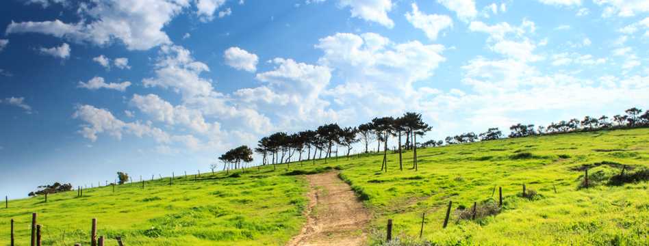 netspeed rural internet for fast and reliable internet in the countryside